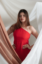 Scarlet Muse Dress